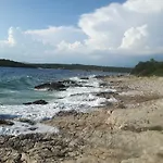 Ceratonia * Lovište