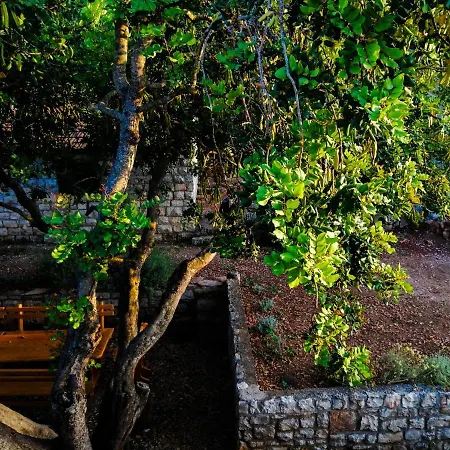 Ceratonia * Lovište