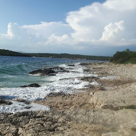 Ceratonia * Lovište