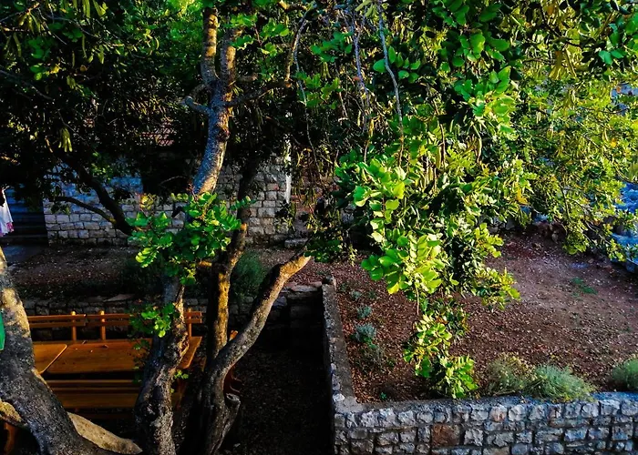 Ceratonia * Lovište