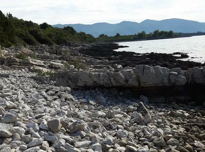 Ceratonia דירה לוביסטה