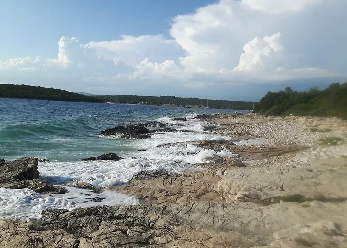 Ceratonia * Lovište